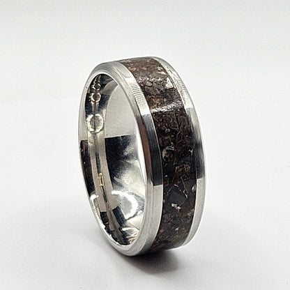 Silver ring with black inlay on a white background