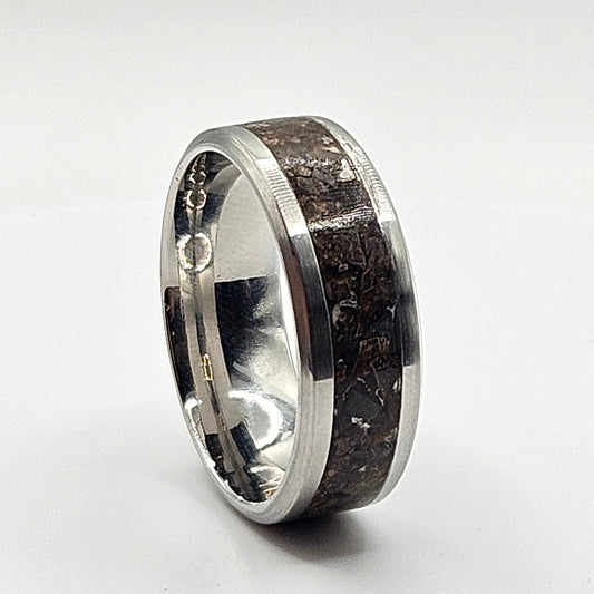Silver ring with black inlay on a white background